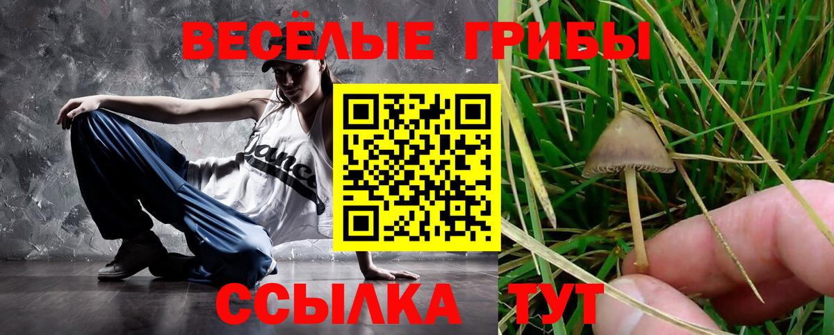 Галлюциногенные грибы Cubensis  Галлюциногенные грибы Cubensis  наркошоп  Севастополь  Вход с VPN 