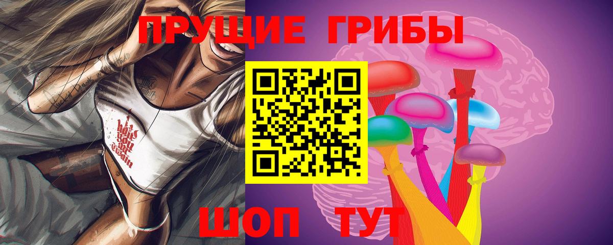 Псилоцибиновые грибы мицелий Севастополь